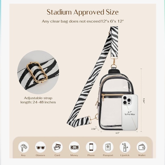 Transparent Black Trim Mini Backpack - Picture 2 of 7